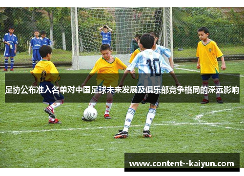 足协公布准入名单对中国足球未来发展及俱乐部竞争格局的深远影响