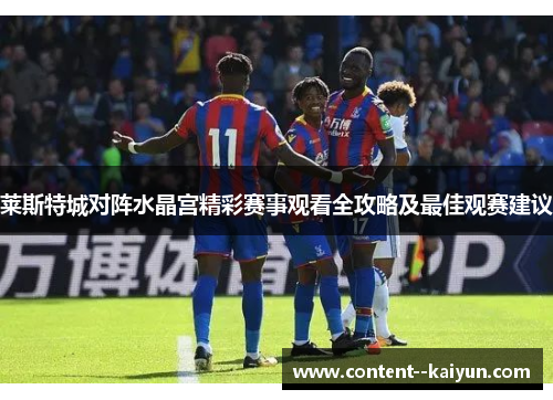 莱斯特城对阵水晶宫精彩赛事观看全攻略及最佳观赛建议