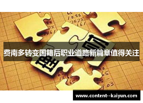 费南多转变国籍后职业道路新篇章值得关注