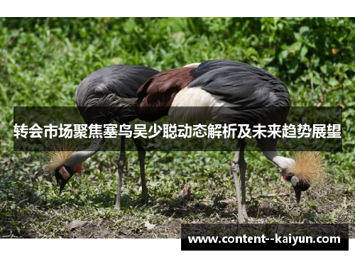 转会市场聚焦塞鸟吴少聪动态解析及未来趋势展望 转会市场聚焦塞鸟吴少聪动态解析及未来趋势展望