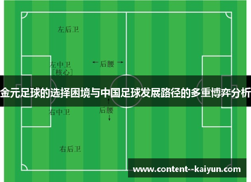 金元足球的选择困境与中国足球发展路径的多重博弈分析 金元足球的选择困境与中国足球发展路径的多重博弈分析