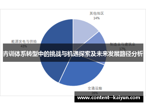 青训体系转型中的挑战与机遇探索及未来发展路径分析